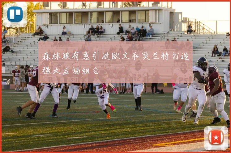 森林狼有意引进欧文和莫兰特打造强大后场组合